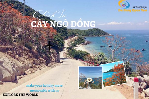 check in cây ngô đồng cù lao chàm