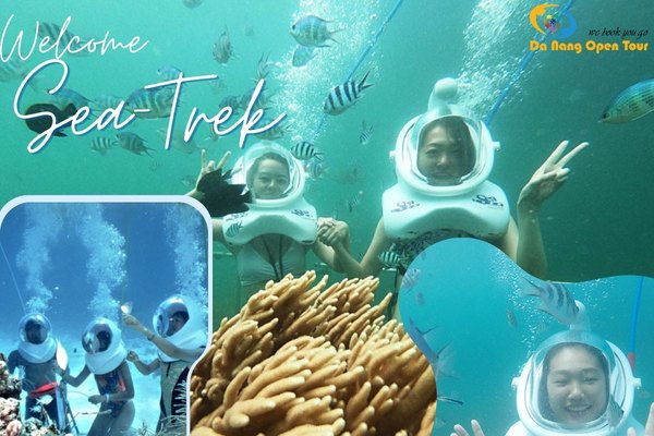 tour Sea Trek đi bộ dưới biển cù lao chàm